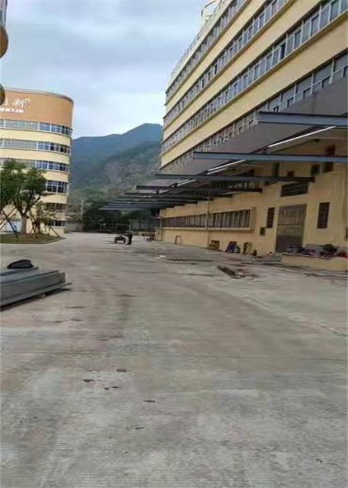 2025新澳门免费原料宝典