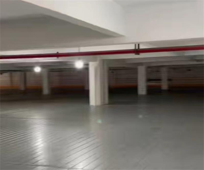 2025新澳门免费原料宝典