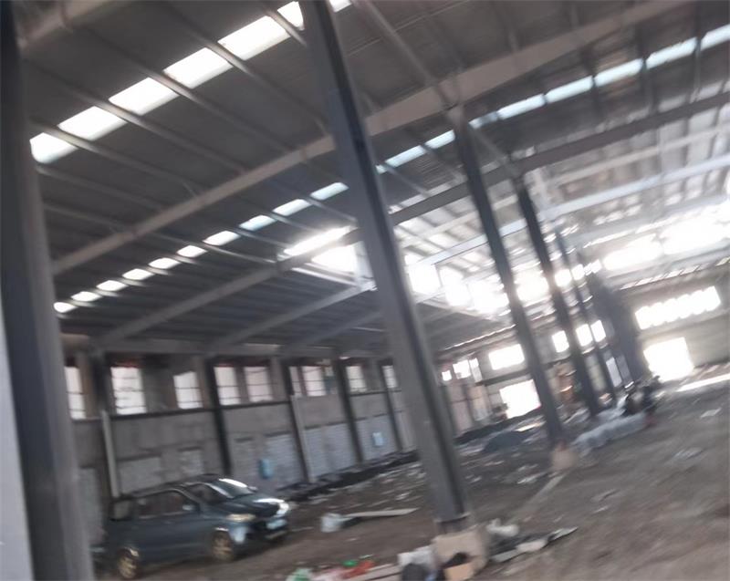 2025新澳门免费原料宝典