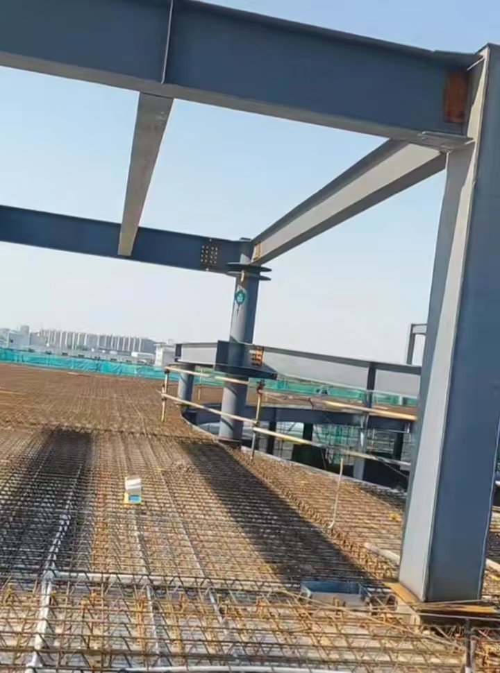 2025新澳门免费原料宝典