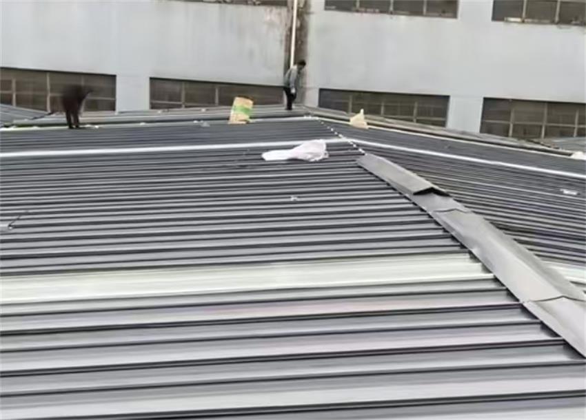 2025新澳门免费原料宝典