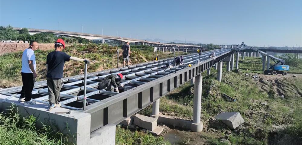 2025新澳门免费原料宝典